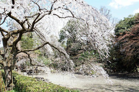Palácio Imperial de Quioto